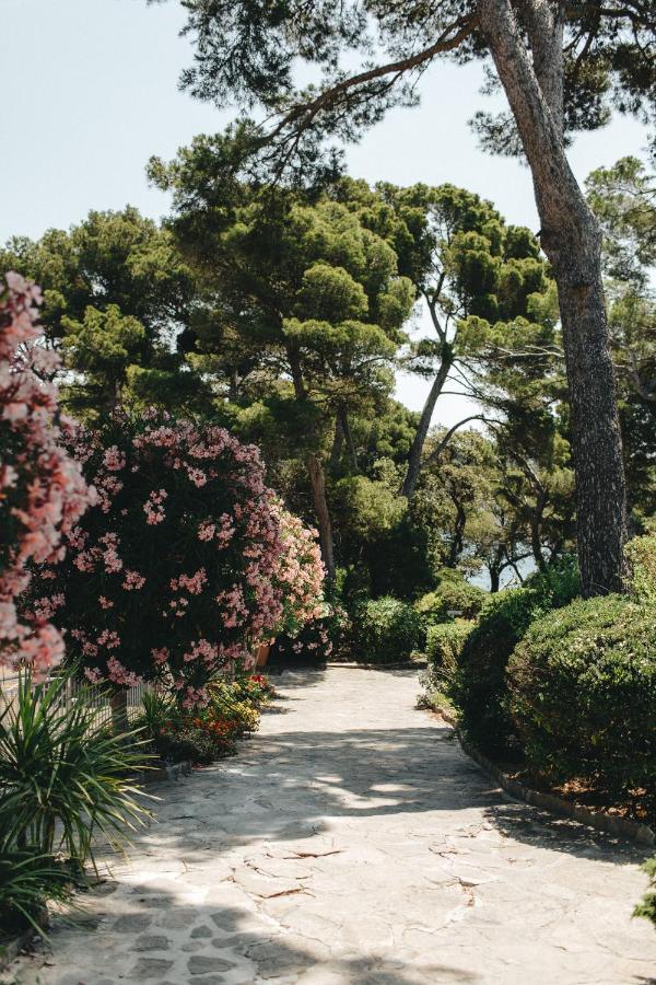 Hotel Provencal Hyères Kültér fotó